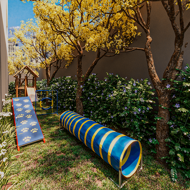 Perspectiva Pet Care